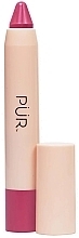 Lippenpomade - Pur Silky Pout Creamy Lip Chubby — Bild N1