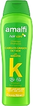 Shampoo für fettiges Haar mit Keratin - Amalfi Keratin for oily hair Shampoo — Bild N1