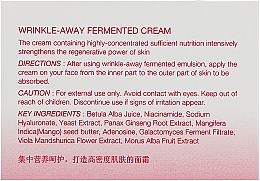 Aufhellende Creme gegen Falten für Damen - The Skin House Wrinkle Away Fermented Cream — Bild N2