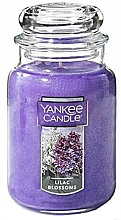 Düfte, Parfümerie und Kosmetik Duftkerze - Yankee Candle Lilac Blossoms