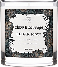Duftkerze im Glas Zedernwald - Panier Des Sens Scented Candle Cedar Forest — Bild N1