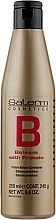 Balsam für strapaziertes Haar mit Kollagen-Protein - Salerm Linea Oro Proteinico Balsamo — Bild N1