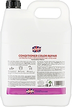 Conditioner - Ronney Professional Color Repair UV Protection Conditioner  — Bild N4