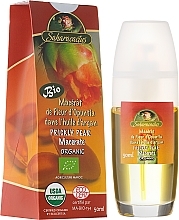 Düfte, Parfümerie und Kosmetik Argan- und Kaktusfeigenöl - Efas Saharacactus Macerat Opuntia Ficus in Argan Oil