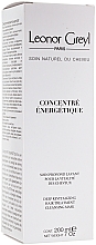 Düfte, Parfümerie und Kosmetik Energetisierendes Haarkonzentrat - Leonor Greyl Concentre Energetique