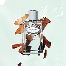 Prada Infusion D`Iris Cedre - Eau de Parfum — Bild N5