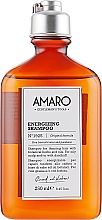 Düfte, Parfümerie und Kosmetik Energiespendendes Shampoo für fettige Kopfhaut und gegen Schuppen - FarmaVita Amaro Energizing Shampoo