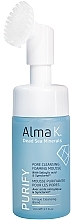 Düfte, Parfümerie und Kosmetik Gesichtsreinigungsschaum - Alma K. Purify Pore Cleansing Foaming Mousse With Salicylic Acid & Symlacriol