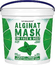 Alginate Maske mit Minze - Naturalissimo Mint Alginat Mask — Bild N3