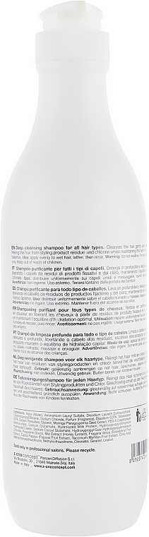 Shampoo für alle Haartypen mit Moringasamenextrakt - Milk Shake Deep Cleansing Shampoo — Foto N4