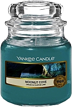 Düfte, Parfümerie und Kosmetik Duftkerze im Glas Moonlit Cove - Yankee Candle Moonlit Cove
