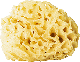 Düfte, Parfümerie und Kosmetik Natürlicher Badeschwamm gelb 12,5 cm - Hhuumm 03H Natural Sponge