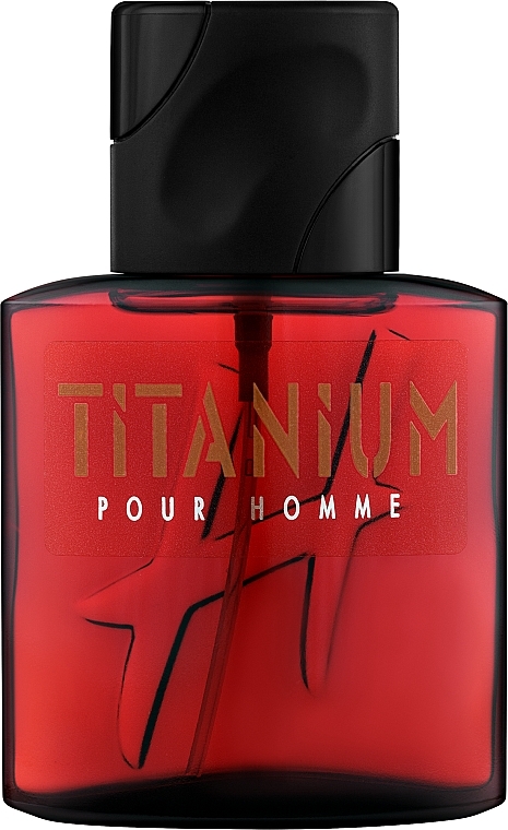 Daniel Hechter Titanium Pour Homme - Eau de Toilette — Bild N1