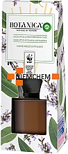 Düfte, Parfümerie und Kosmetik Aroma-Diffusor mit Duftholzstäbchen Eukalyptus und afrikanischer Salbei - Air Wick Botanica