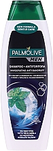 Düfte, Parfümerie und Kosmetik Anti-Schuppen Shampoo für Männer - Palmolive Men Invigorating Shampoo