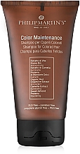 Düfte, Parfümerie und Kosmetik Shampoo für gefärbtes Haar - Philip Martin's Colour Maintenance Shampoo (Mini)