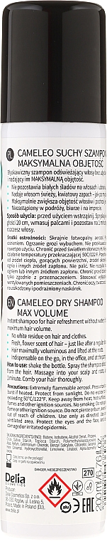 Trockenshampoo für mehr Volumen - Delia Cameleo Dry Shampoo — Bild N2