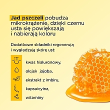 Lipgloss für mehr Volumen mit Bienengift und Hyaluronsäure - Eveline Cosmetics OH! My Lips Lip Maximizer Bee Venom — Bild N5