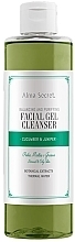 Düfte, Parfümerie und Kosmetik Waschgel für das Gesicht - Alma Secret Facial Gel Cleanser Cucumber & Juniper