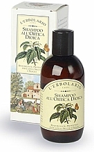 Düfte, Parfümerie und Kosmetik Shampoo mit Brennessel für normales Haar - L'erbolario Shampoo All'Ortica Dioica