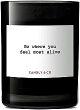 Duftkerze - Candly & Co No.5 Where You Feel Most Alive Scented Candle — Bild N2