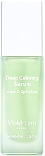 Beruhigendes Serum für empfindliche und fettige Haut - Muldream Deep Calming Serum Aloe & Spirulina — Bild N1