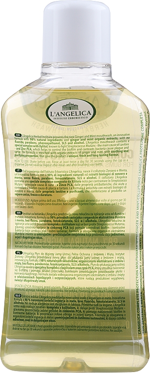 Mundspülung Ingwer und Minze - L'Angelica Herbal Mouthwash Complete Protection Ginger & Mint — Bild N2