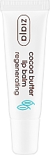 Düfte, Parfümerie und Kosmetik Lippenbalsam mit Kakaobutter - Ziaja Lip Balm
