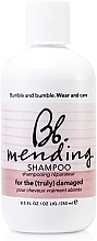 Düfte, Parfümerie und Kosmetik Regenerierendes Shampoo für strapaziertes Haar - Bumble and Bumble Mending Shampoo