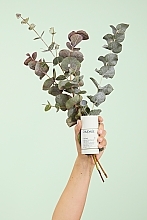 Deostick mit Eukalyptus- und Traubenduft - Caudalie Vinofresh Natural Stick — Bild N6