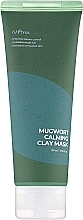 Tonerde-Gesichtsmaske mit Wermutextrakt - Isntree Mugwort Calming Clay Mask — Bild N1