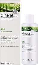 Shampoo für die Kopfhaut - Ahava Clineral PSO Scalp Shampoo — Bild N2