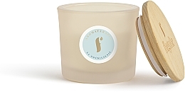 Düfte, Parfümerie und Kosmetik Duftkerze im Glas Erfrischender Zimt - Flagolie Fragranced Candle Cinnamon Refreshing