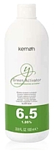 Entwicklerlotion 1,95% - Kemon Yo. Green Activator — Bild N1