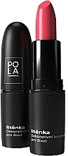 Düfte, Parfümerie und Kosmetik Feuchtigkeitsspendender Lippenstift - Pola Cosmetics Sappy Lips