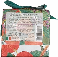 Naturseife Strawberry Tree & Sage - Nesti Dante Revitalizing & Refreshing Soap Gli Officinali Collection  — Bild N2