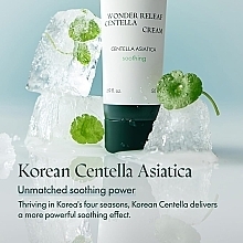 Beruhigende Gesichtscreme mit Centella Asiatica - Purito Seoul Wonder Releaf Centella Cream — Bild N5