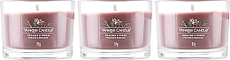 Kerzenset - Yankee Candle Praline & Birch (Duftkerze 3x37g) — Bild N2