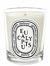 Düfte, Parfümerie und Kosmetik Duftkerze - Diptyque Eucalyptus Candle