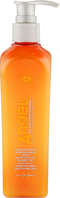 Shampoo für trockenes und normales Haar - Angel Professional Paris Shampoo for dry and Normal Hair — Bild N1