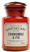 Düfte, Parfümerie und Kosmetik Duftkerze im Glas - Paddywax Apothecary Artisan Made Soywax Candle Chamomile & Fig