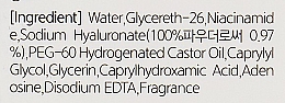 Feuchtigkeitsspendendes Gesichtsserum mit Hyaluronsäure - Esthetic House Formula Ampoule Hyaluronic Acid — Bild N4