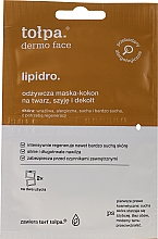 Pflegende Gesichtsmaske - Tolpa Dermo Face Lipidro Face Mask — Bild N1