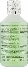 Erfrischendes medizinisches Shampoo für fettige Kopfhaut - Eva Professional Capilo Ekilibrium Shampoo №08 — Bild N3