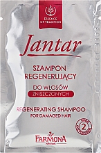 Proteinbehandlung mit Bernsteinextrakt für strapaziertes Haar - Farmona Jantar Protein Treatment With Amber Extract For Damaged Hair — Bild N3