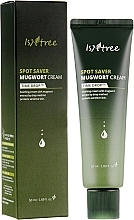 Beruhigende Creme mit Beifuß - Isntree Spot Saver Mugwort Cream — Bild N3