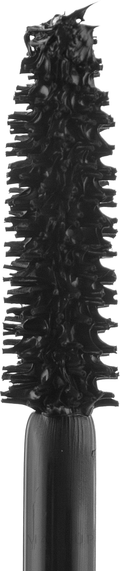 Mascara für lange und voluminöse Wimpern - Pierre Rene Blooming Lashes Magnolia Mascara — Bild Black