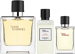 Hermes Terre d'Hermes Parfum - Duftset (Eau de Parfum 75ml + Eau de Parfum 12.5 ml + After Shave Lotion 40ml) — Bild N2