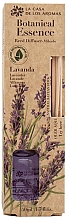 Düfte, Parfümerie und Kosmetik Raumerfrischer Lavendel - La Casa de Los Aromas Botanical Essence Reed Diffuser Lavender