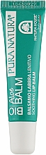 Düfte, Parfümerie und Kosmetik Beruhigender Lippenbalsam mit Aloe Vera Extrakt und süßem Mandelduft - Natura House Soothing Lip Balm